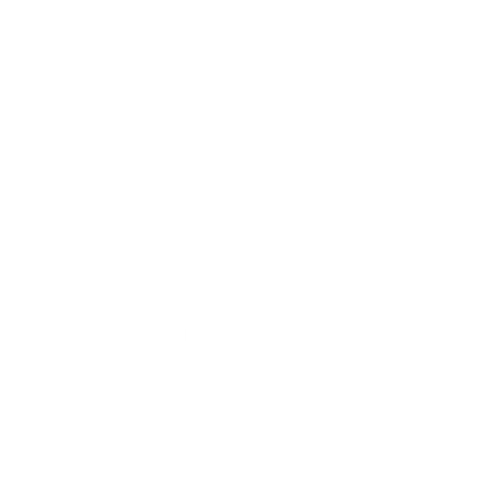 Logo força aerea